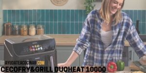 freidora de aire cecotec cecofry&grill duoheat 10000
